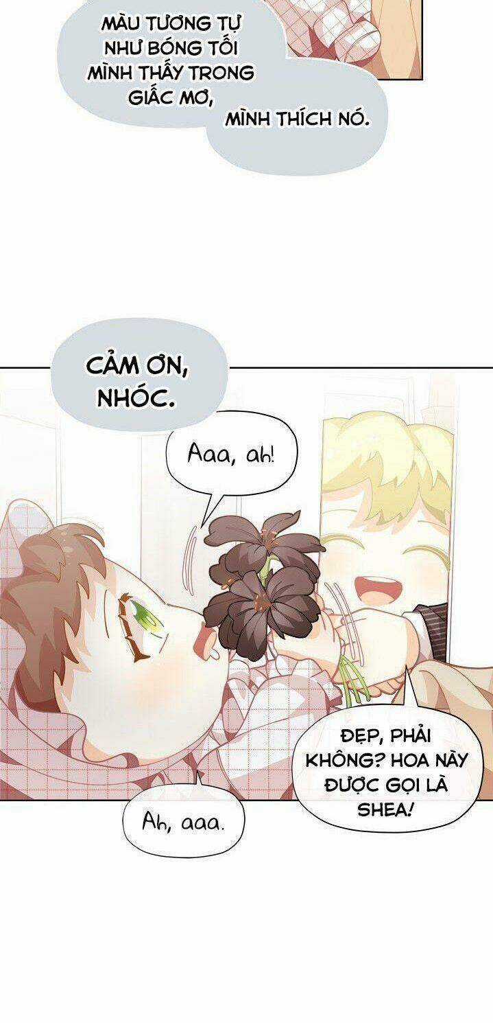 Tôi Chỉ Là Một Tiểu Thư Bình Thường Chapter 5 trang 31