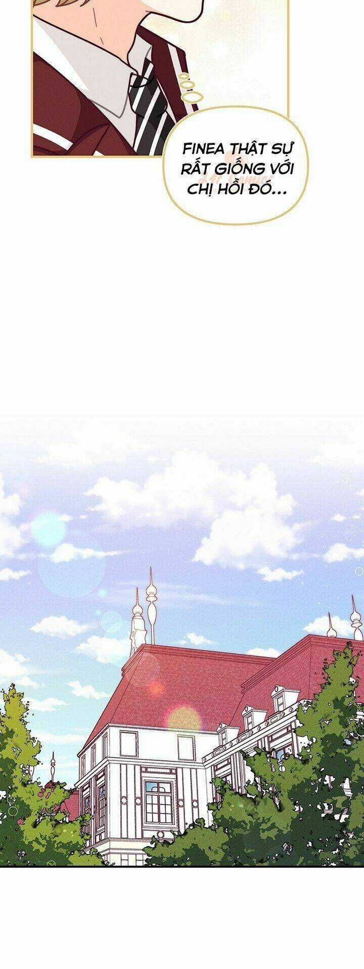 Tôi Chỉ Là Một Tiểu Thư Bình Thường Chapter 51 trang 19