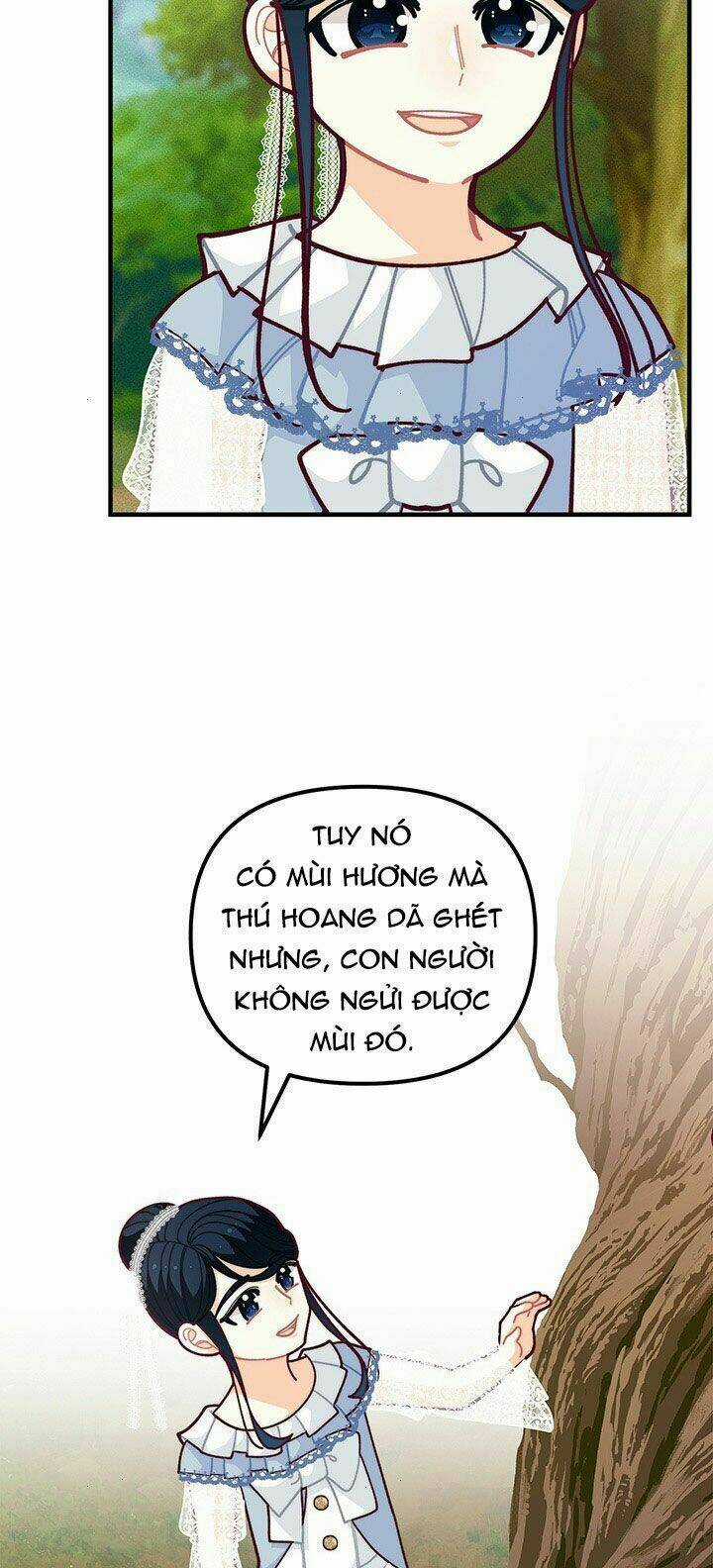 Tôi Chỉ Là Một Tiểu Thư Bình Thường Chapter 55 trang 39