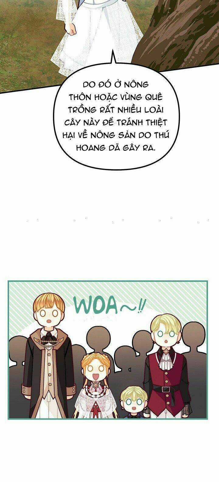 Tôi Chỉ Là Một Tiểu Thư Bình Thường Chapter 55 trang 40