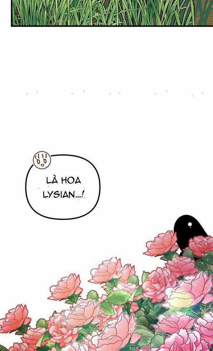 Tôi Chỉ Là Một Tiểu Thư Bình Thường Chapter 55 trang 43