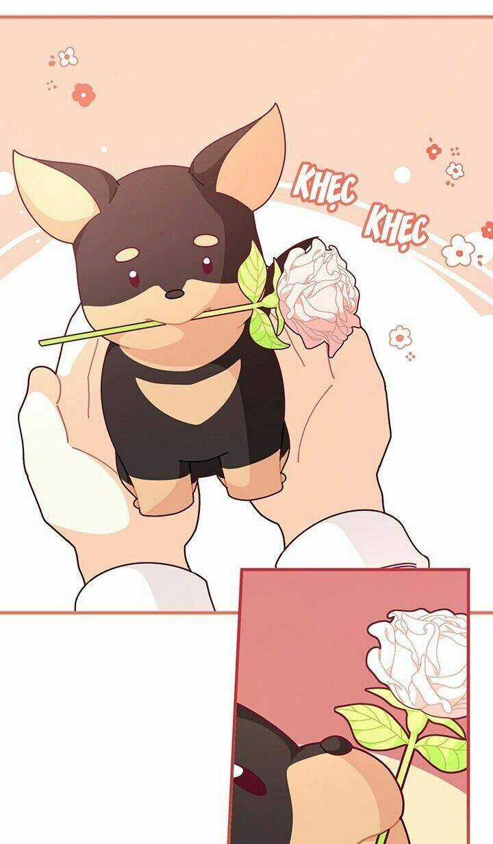 Tôi Chỉ Là Một Tiểu Thư Bình Thường Chapter 62 trang 13