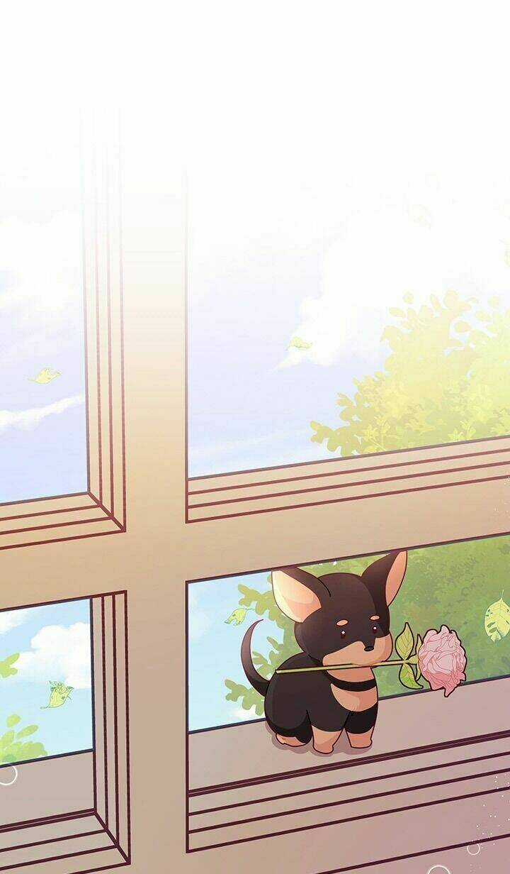 Tôi Chỉ Là Một Tiểu Thư Bình Thường Chapter 62 trang 9