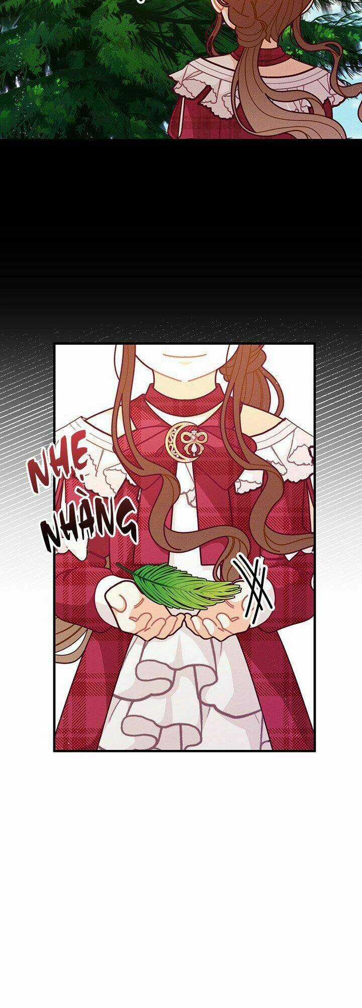 Tôi Chỉ Là Một Tiểu Thư Bình Thường Chapter 63 trang 27