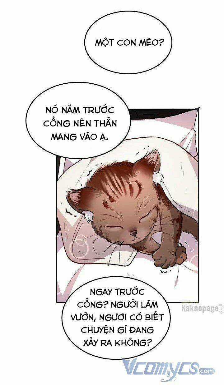 Tôi Chỉ Là Một Tiểu Thư Bình Thường Chapter 78 trang 64