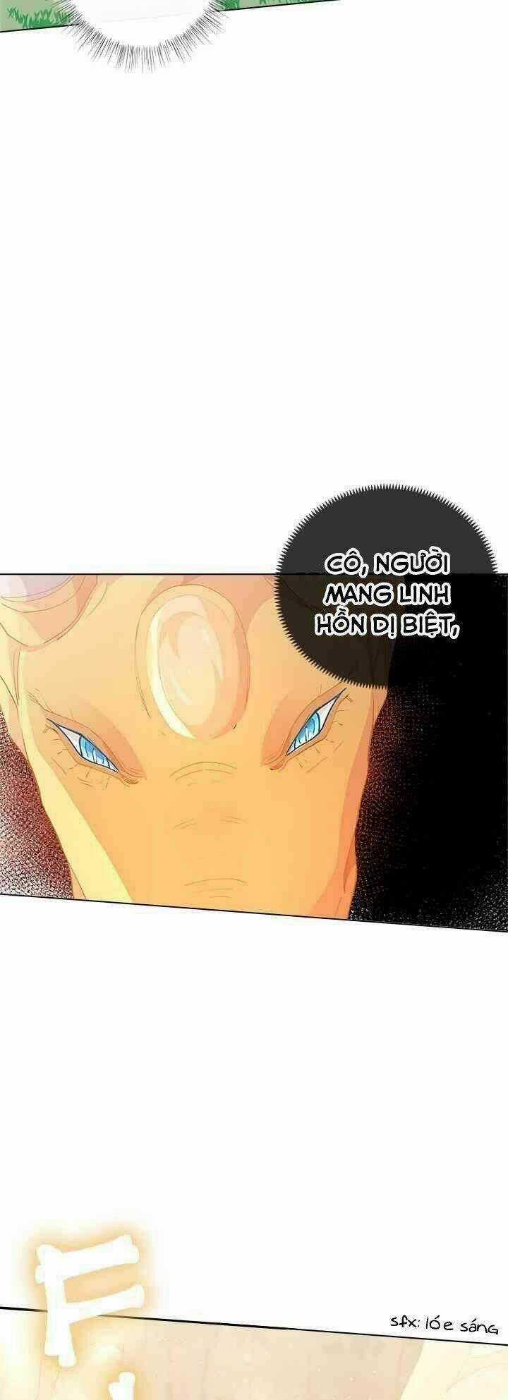 Tôi Chỉ Là Một Tiểu Thư Bình Thường Chapter 8 trang 4