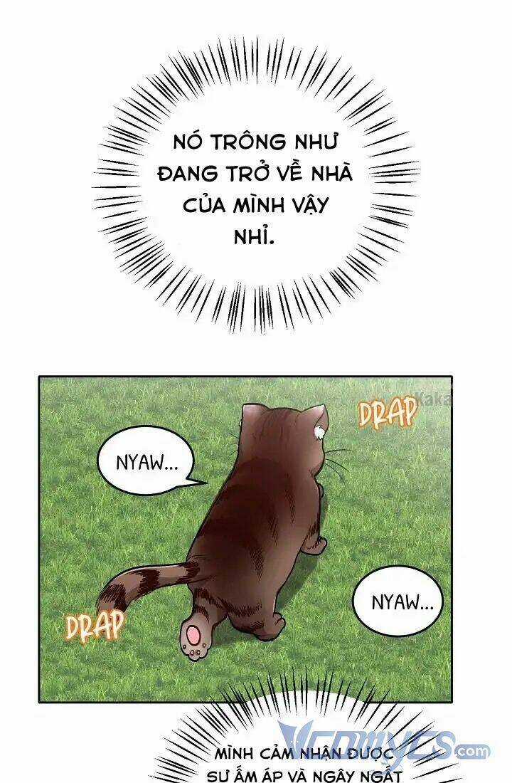 Tôi Chỉ Là Một Tiểu Thư Bình Thường Chapter 80 trang 19