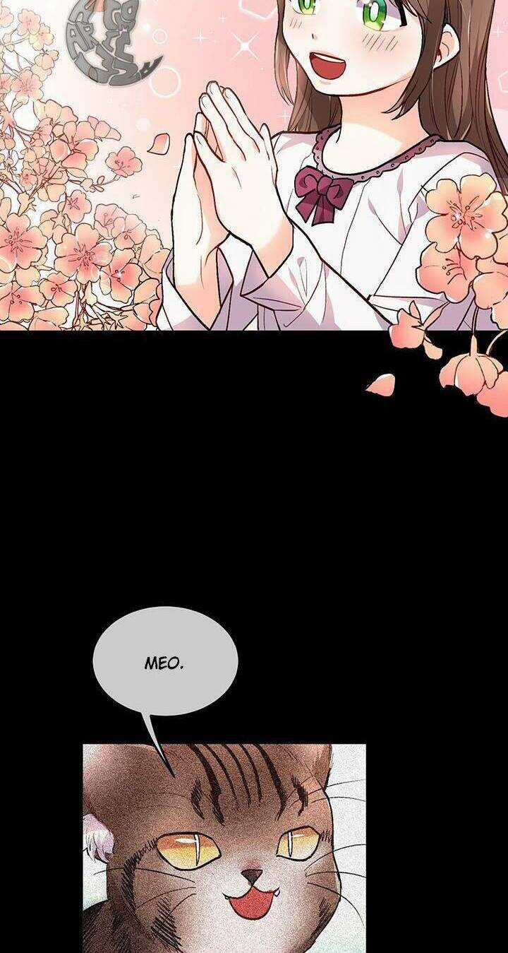 Tôi Chỉ Là Một Tiểu Thư Bình Thường Chapter 81 trang 22