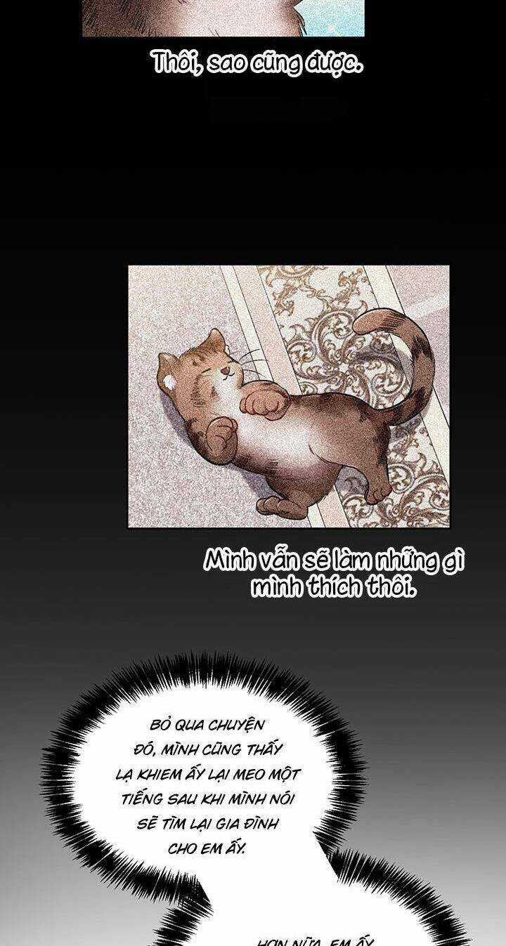 Tôi Chỉ Là Một Tiểu Thư Bình Thường Chapter 81 trang 23