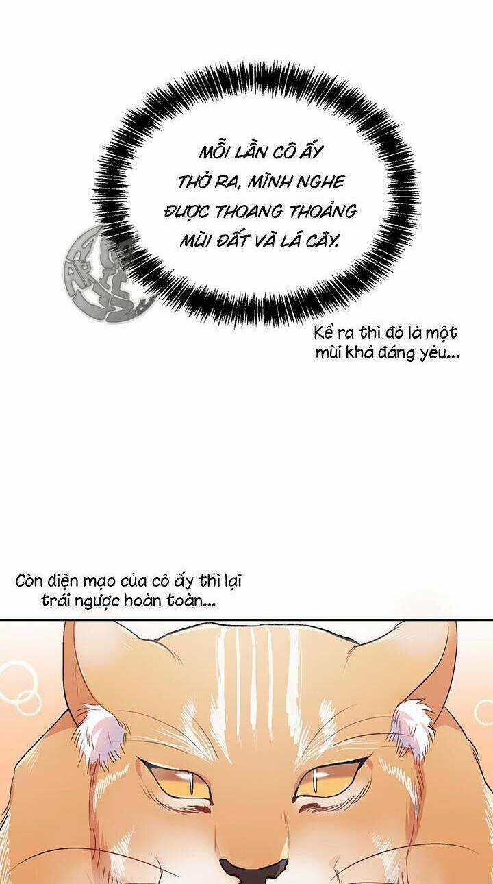 Tôi Chỉ Là Một Tiểu Thư Bình Thường Chapter 81 trang 7