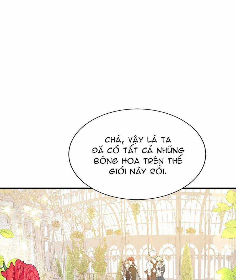 Tôi Chính Là Em Gái Của Nữ Chính Hắc Ám Chapter 16 trang 35