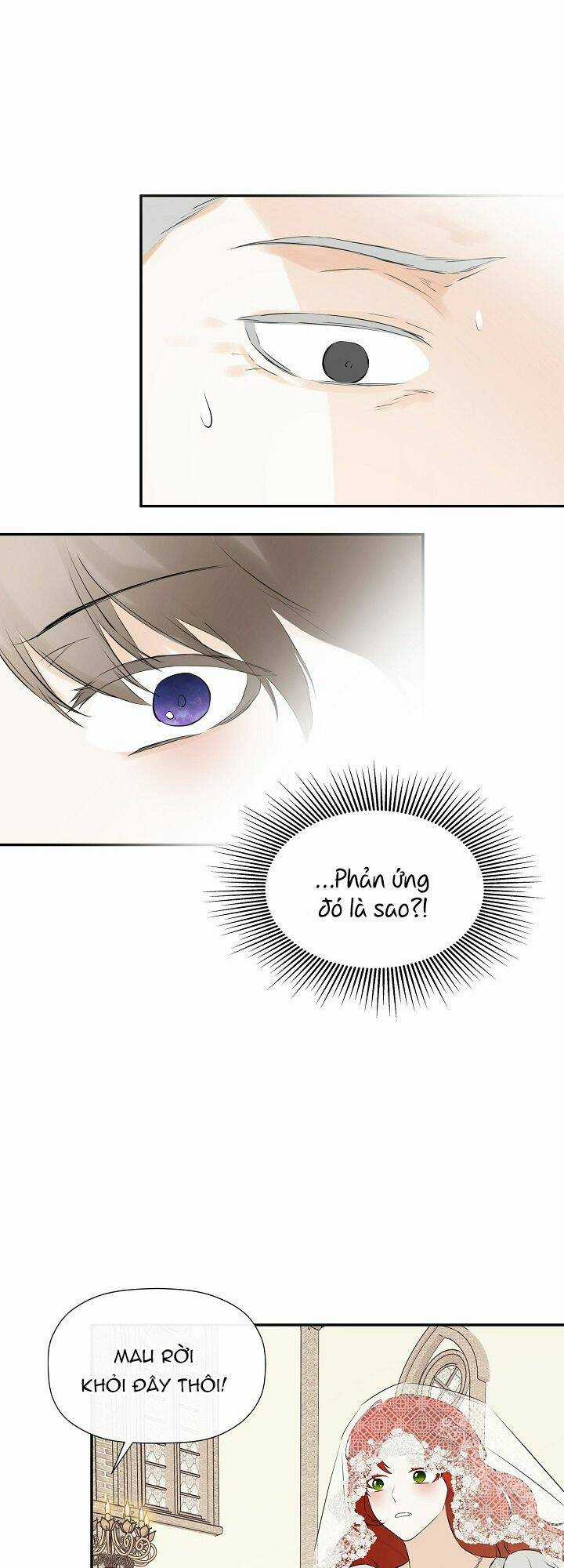 Tôi Chọc Nhầm Nam Phụ Che Giấu Thân Phận Chapter 16 trang 9