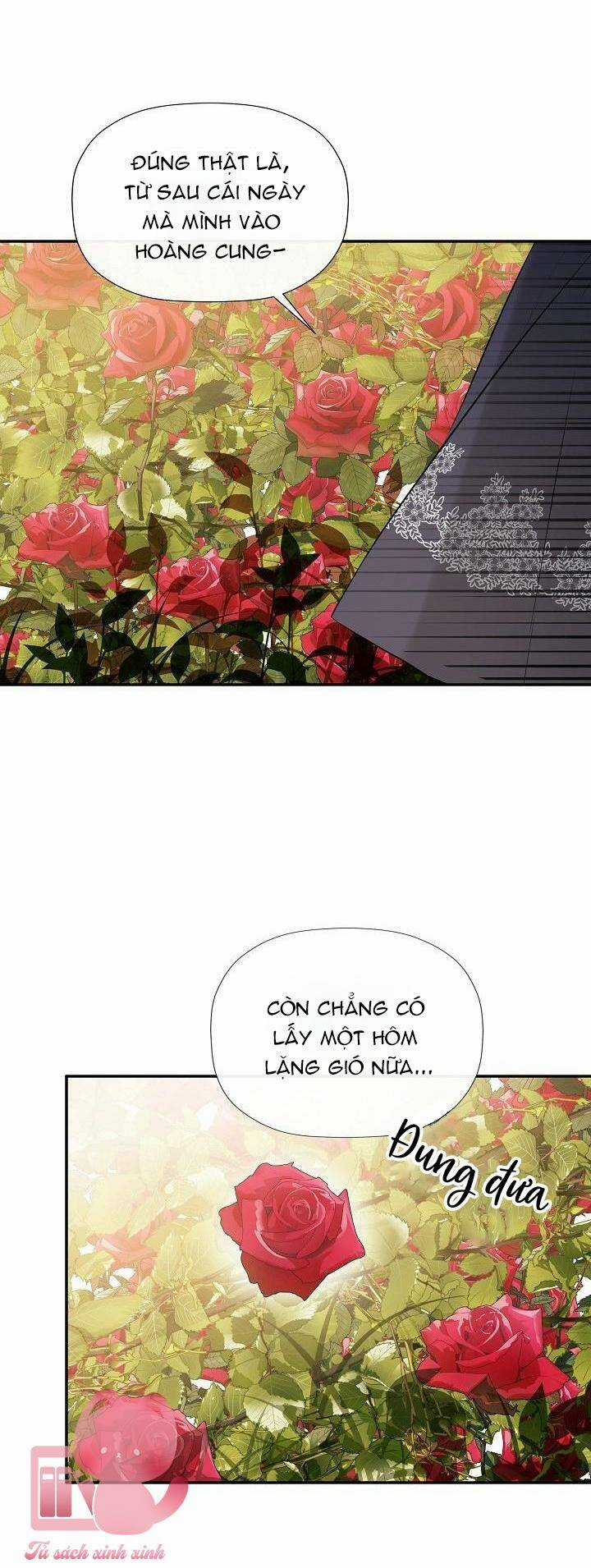 Tôi Chọc Nhầm Nam Phụ Che Giấu Thân Phận Chapter 17 trang 39