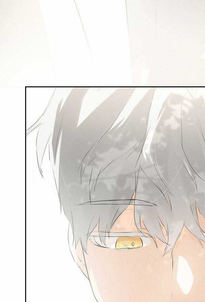 Tôi Chọc Nhầm Nam Phụ Che Giấu Thân Phận Chapter 20 trang 60