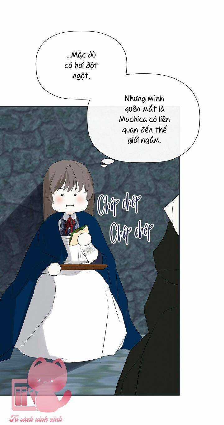 Tôi Chọc Nhầm Nam Phụ Che Giấu Thân Phận Chapter 23 trang 13