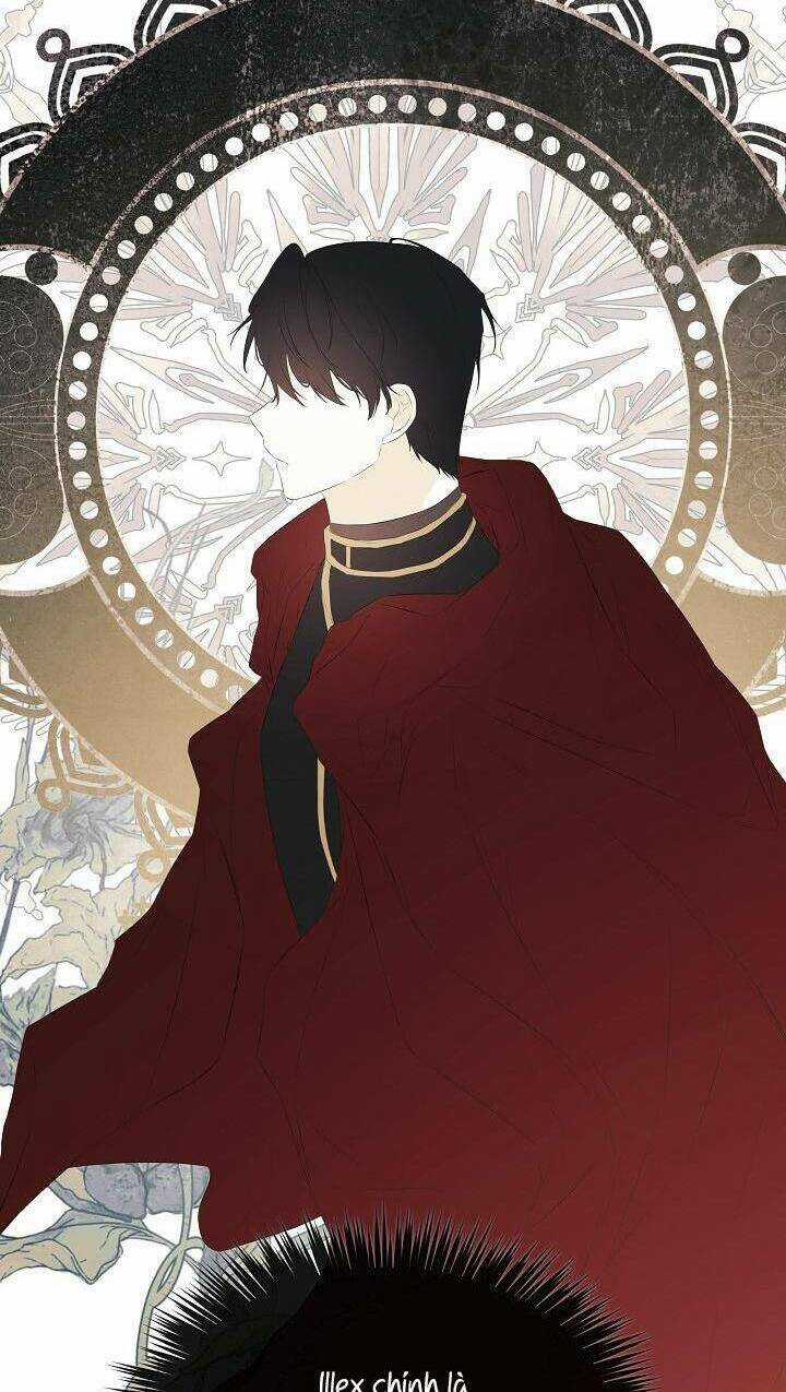 Tôi Chọc Nhầm Nam Phụ Che Giấu Thân Phận Chapter 27 trang 20