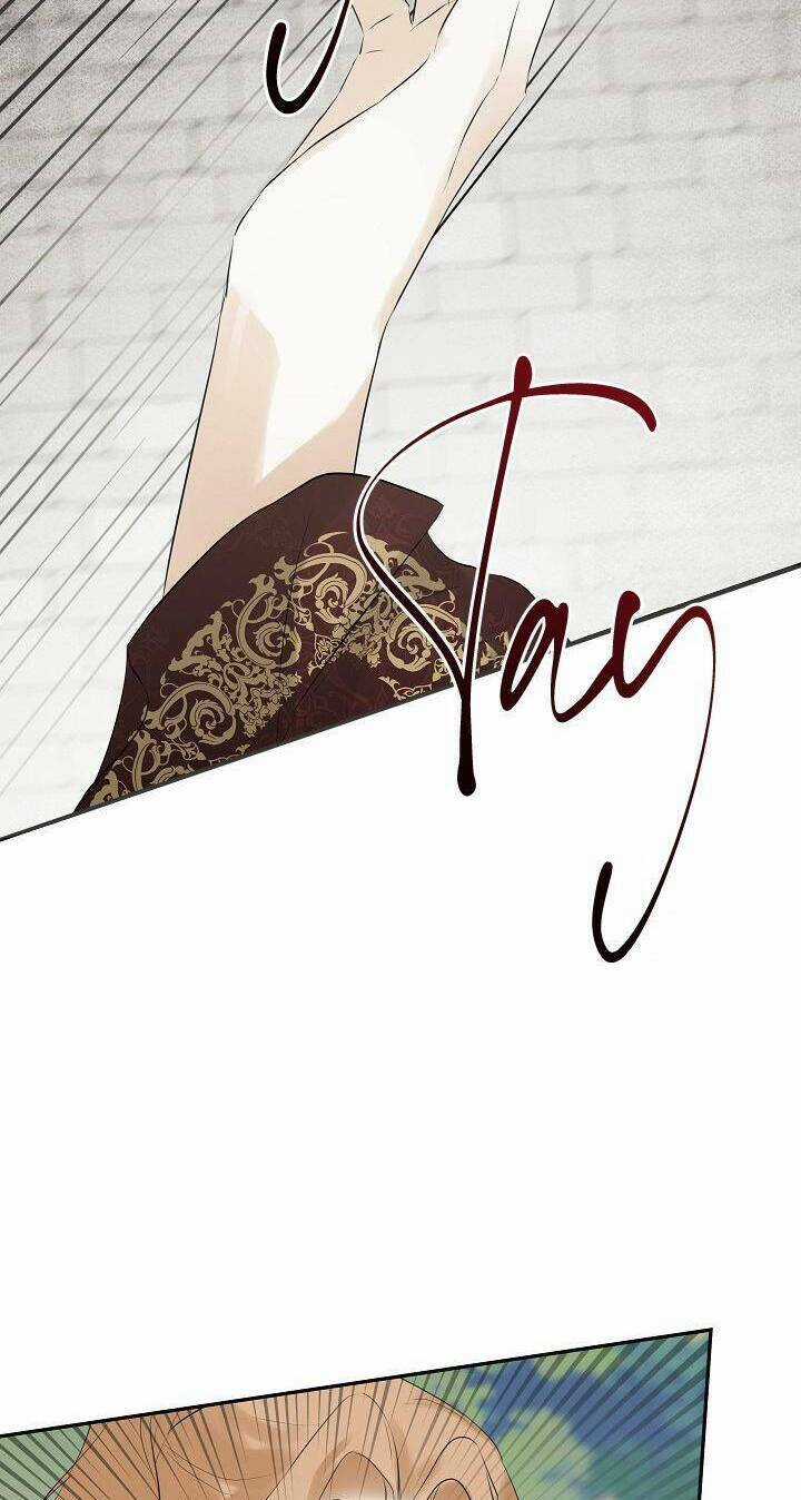 Tôi Chọc Nhầm Nam Phụ Che Giấu Thân Phận Chapter 27 trang 55