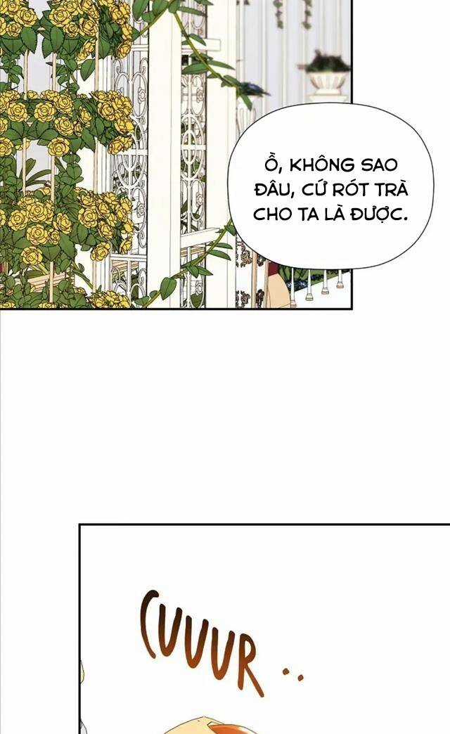 Tôi Chọc Nhầm Nam Phụ Che Giấu Thân Phận Chapter 32 trang 2