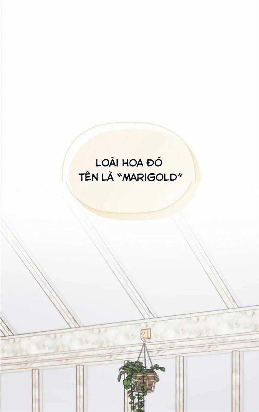 Tôi Chọc Nhầm Nam Phụ Che Giấu Thân Phận Chapter 32 trang 24