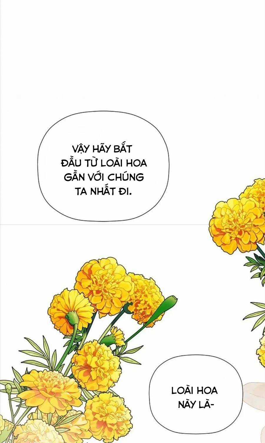 Tôi Chọc Nhầm Nam Phụ Che Giấu Thân Phận Chapter 32 trang 39