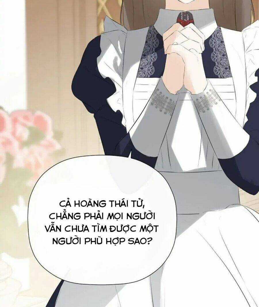 Tôi Chọc Nhầm Nam Phụ Che Giấu Thân Phận Chapter 36 trang 8