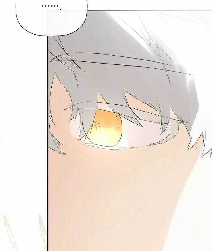 Tôi Chọc Nhầm Nam Phụ Che Giấu Thân Phận Chapter 36 trang 89