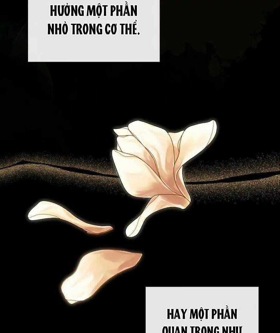 Tôi Chọc Nhầm Nam Phụ Che Giấu Thân Phận Chapter 36 trang 98