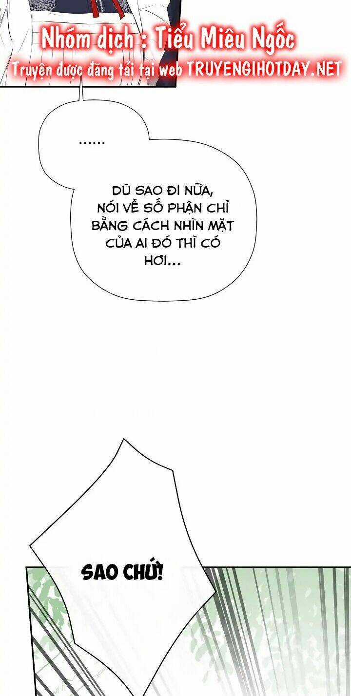 Tôi Chọc Nhầm Nam Phụ Che Giấu Thân Phận Chapter 38 trang 4