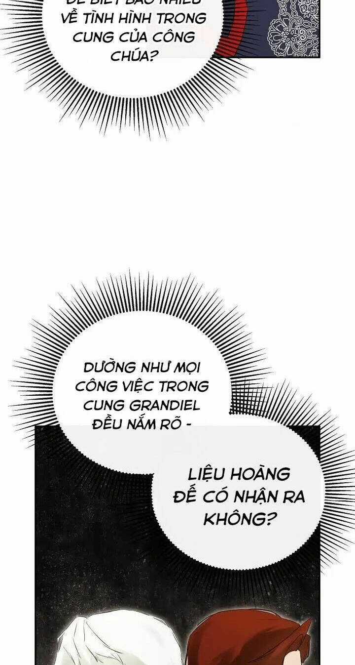 Tôi Chọc Nhầm Nam Phụ Che Giấu Thân Phận Chapter 39 trang 13