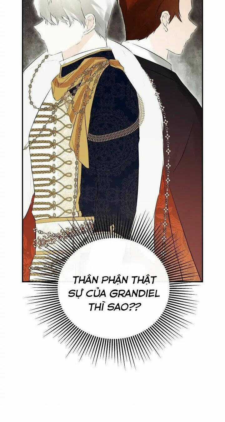 Tôi Chọc Nhầm Nam Phụ Che Giấu Thân Phận Chapter 39 trang 14