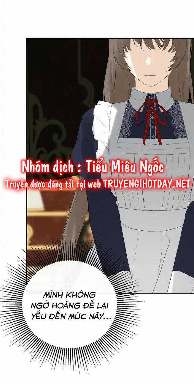 Tôi Chọc Nhầm Nam Phụ Che Giấu Thân Phận Chapter 43 trang 22