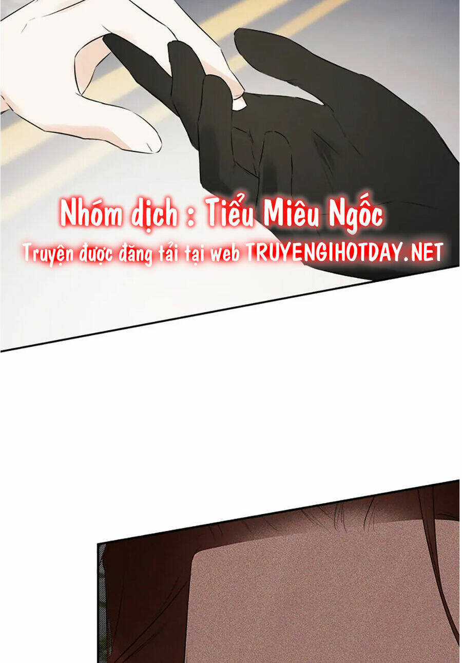 Tôi Chọc Nhầm Nam Phụ Che Giấu Thân Phận Chapter 45 trang 25