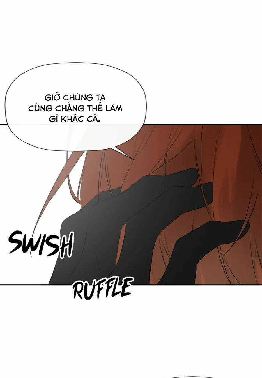 Tôi Chọc Nhầm Nam Phụ Che Giấu Thân Phận Chapter 45 trang 47