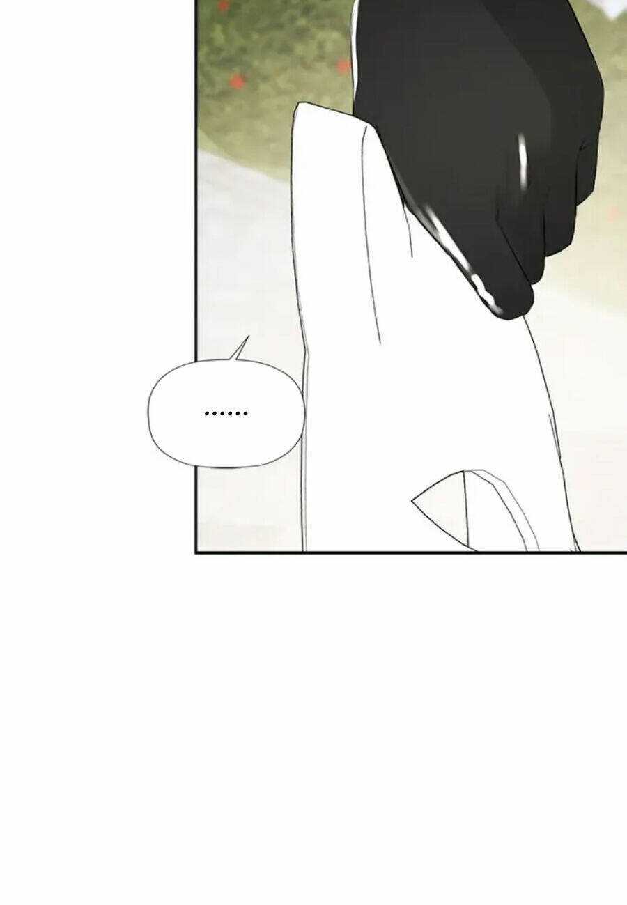 Tôi Chọc Nhầm Nam Phụ Che Giấu Thân Phận Chapter 45 trang 67