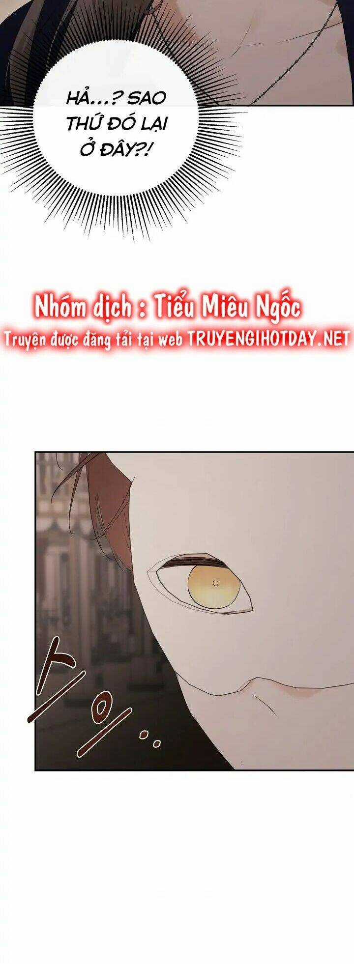 Tôi Chọc Nhầm Nam Phụ Che Giấu Thân Phận Chapter 46 trang 73