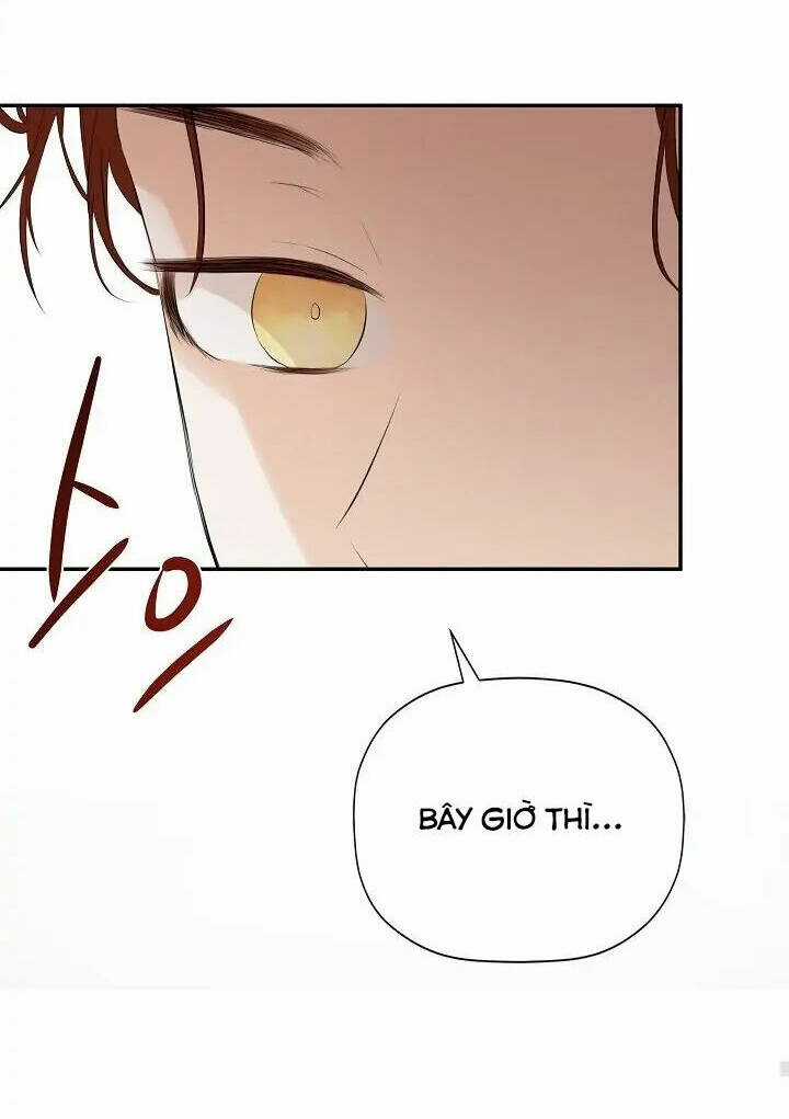 Tôi Chọc Nhầm Nam Phụ Che Giấu Thân Phận Chapter 47 trang 95