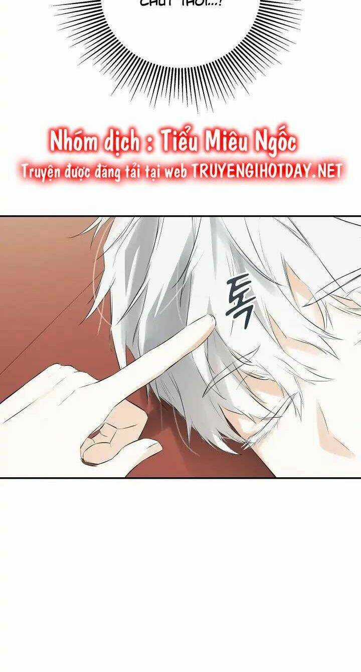 Tôi Chọc Nhầm Nam Phụ Che Giấu Thân Phận Chapter 49 trang 66