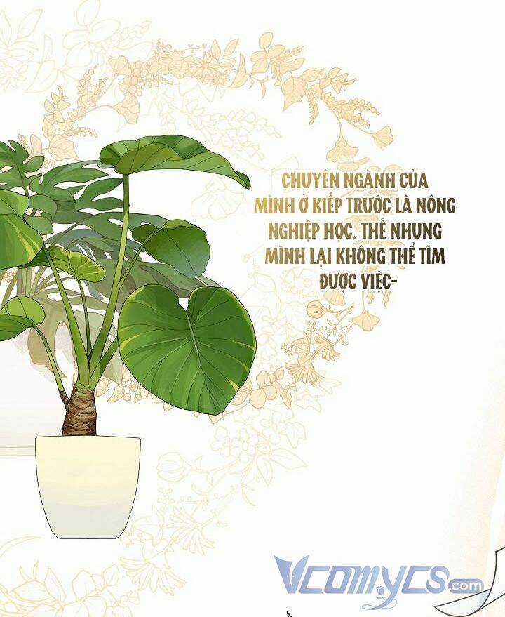 Tôi Chọc Nhầm Nam Phụ Che Giấu Thân Phận Chapter 5 trang 4