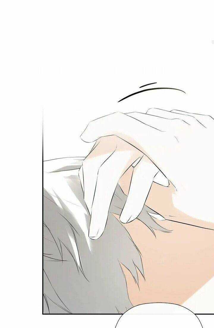 Tôi Chọc Nhầm Nam Phụ Che Giấu Thân Phận Chapter 50 trang 16