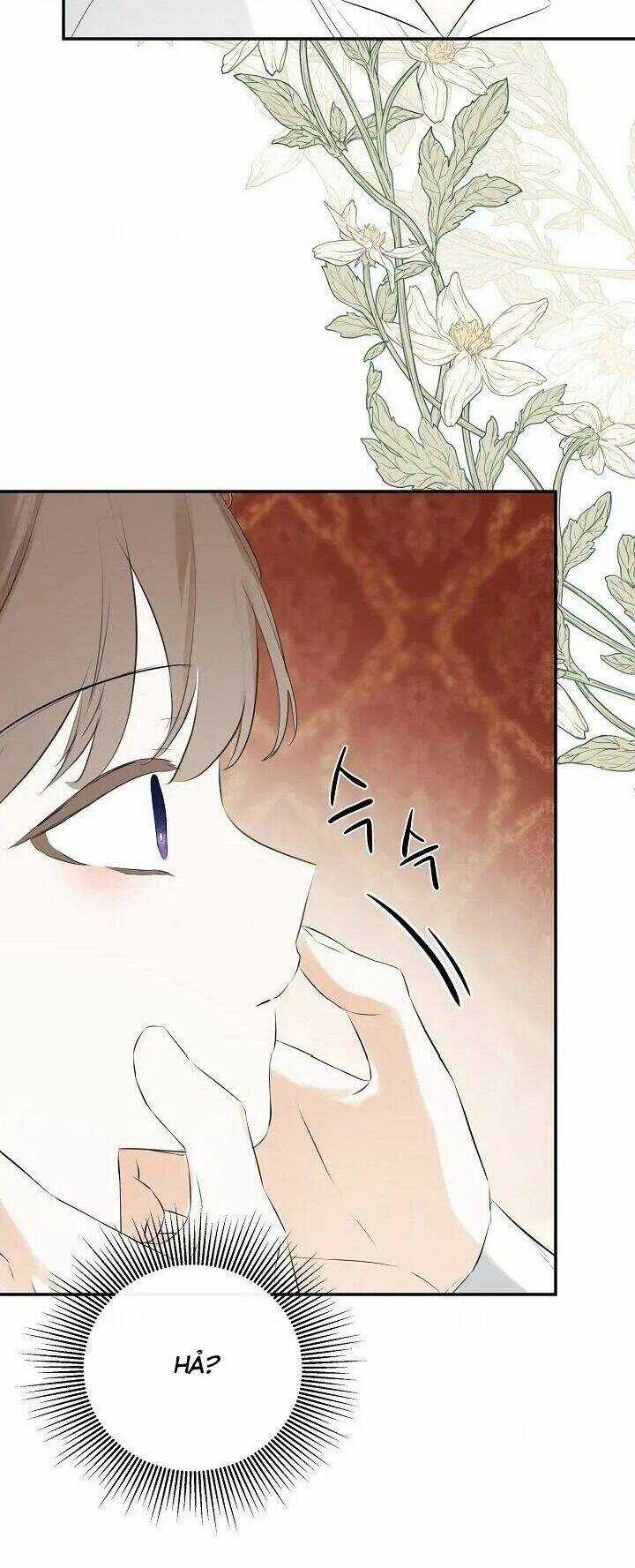 Tôi Chọc Nhầm Nam Phụ Che Giấu Thân Phận Chapter 50 trang 53