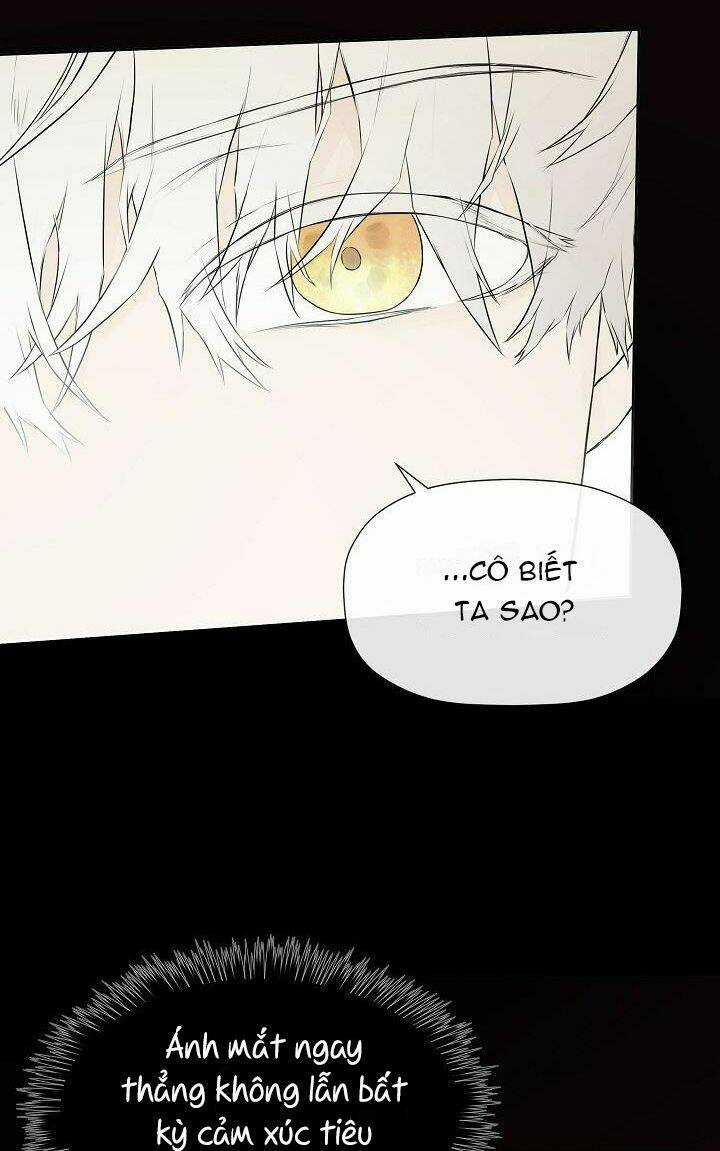 Tôi Chọc Nhầm Nam Phụ Che Giấu Thân Phận Chapter 7 trang 52