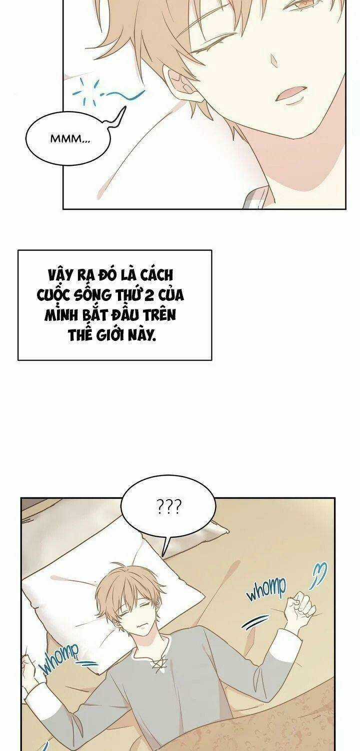 Tôi Chọn Kết Thúc Của Hoàng Đế Chapter 62 trang 8