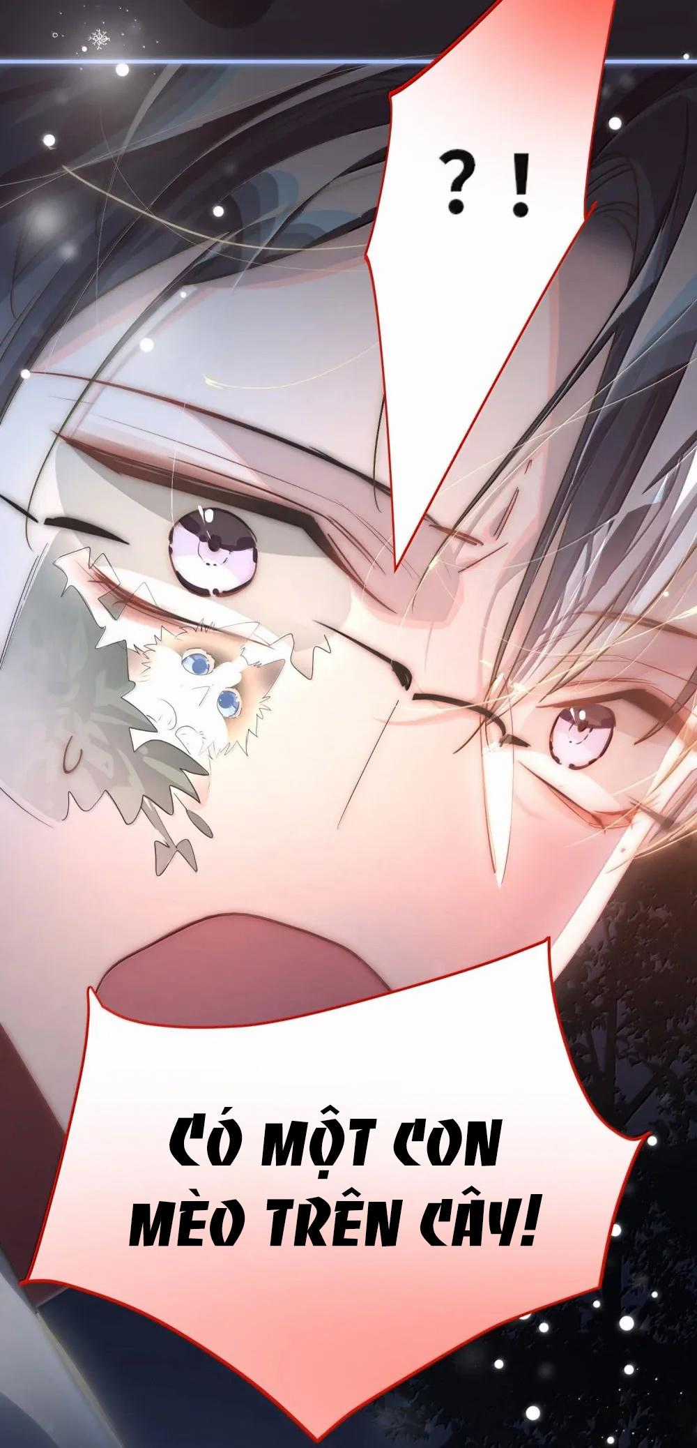 Tôi Có Bệnh Chapter 62 trang 17