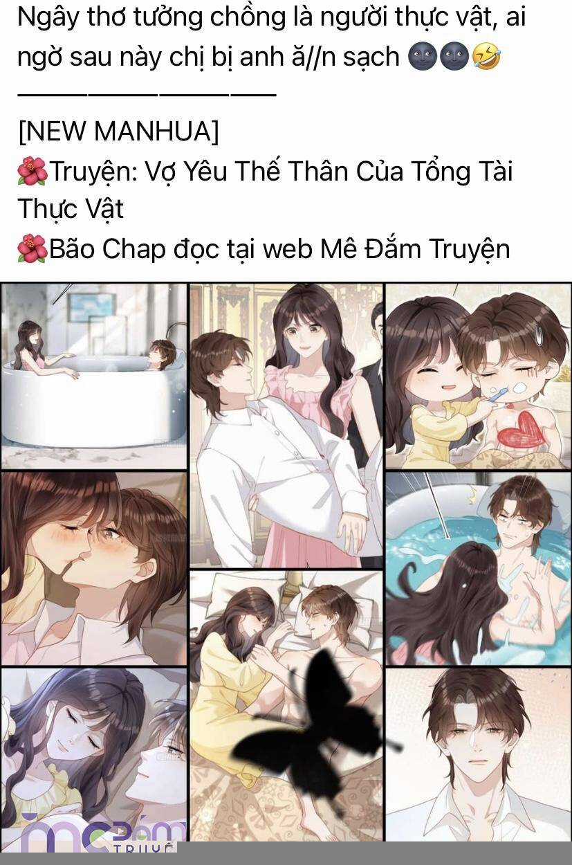 Tôi Cũng Muốn Làm Mợ Út Chapter 51 trang 2