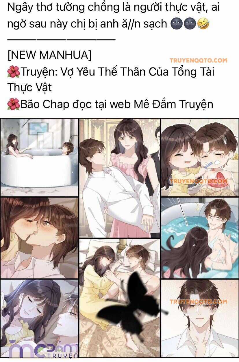 Tôi Cũng Muốn Làm Mợ Út  trang 2