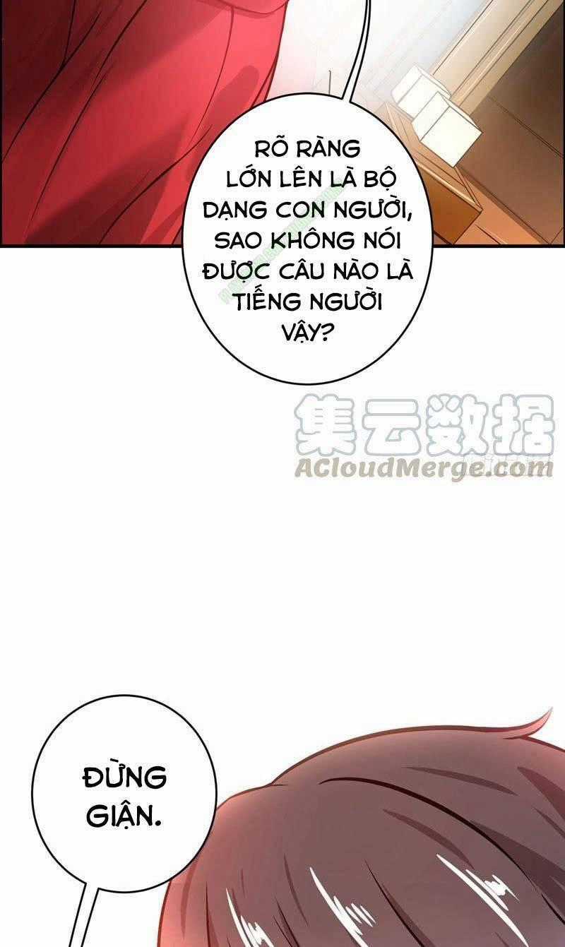 Tối Cường Thần Y Tại Đô Thị Chapter 15 trang 1