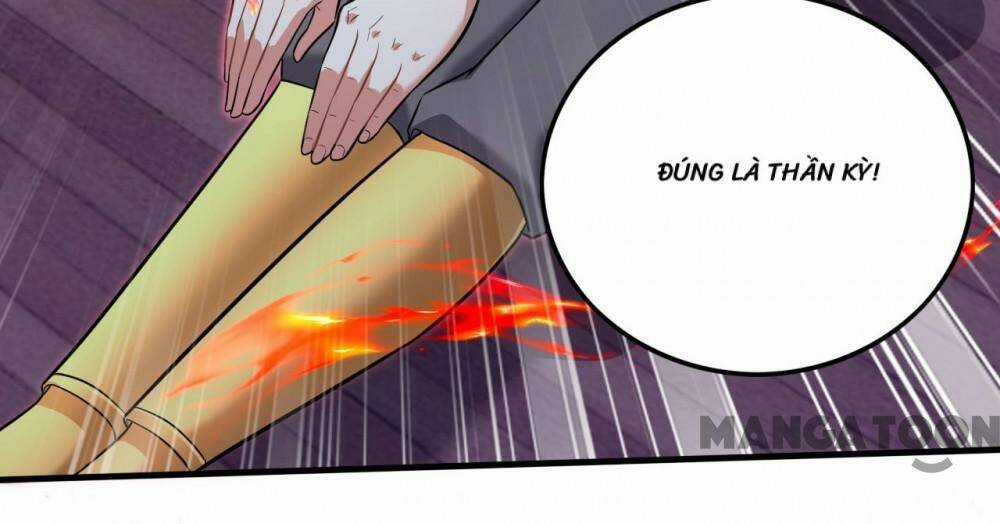 Tối Cường Thần Y Tại Đô Thị Chapter 330 trang 40