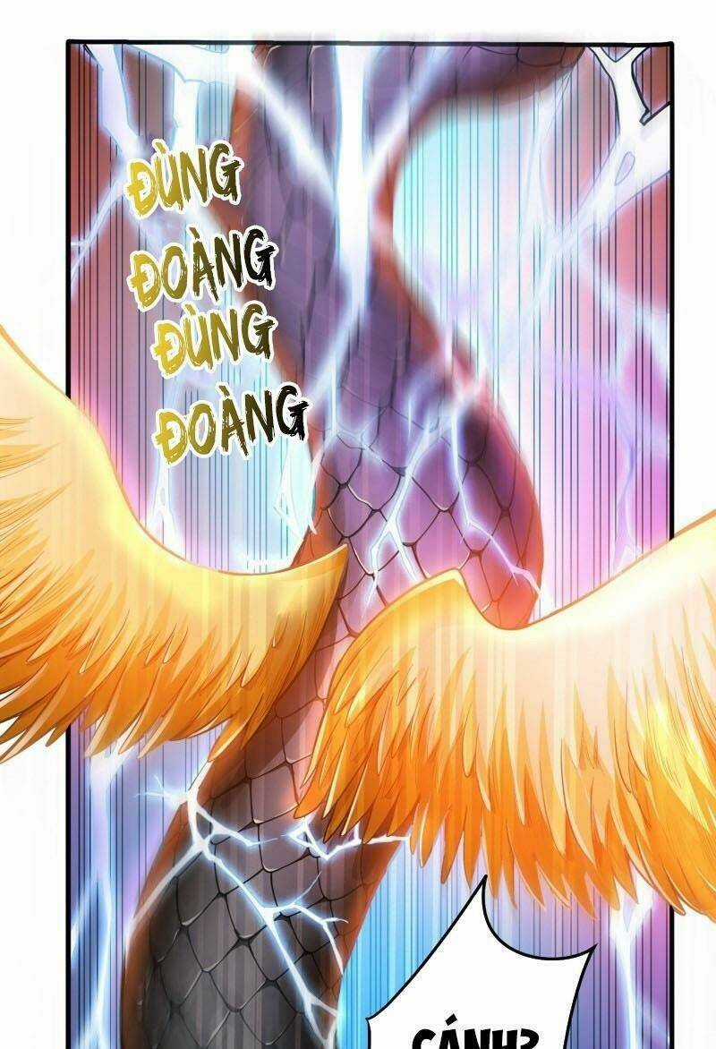 Tối Cường Thần Y Tại Đô Thị Chapter 72 trang 6