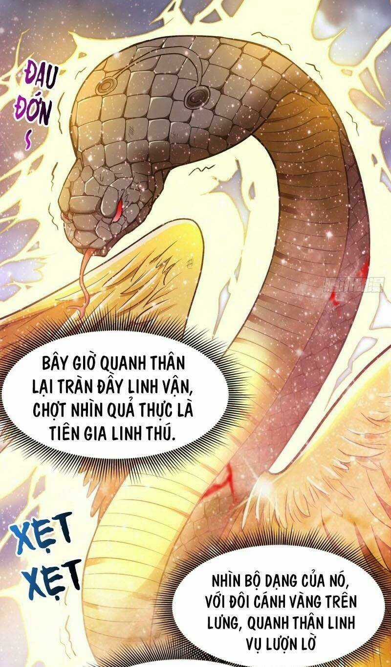Tối Cường Thần Y Tại Đô Thị Chapter 72 trang 7