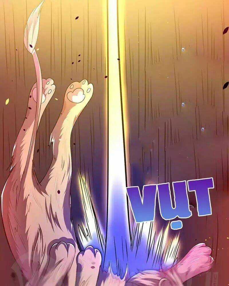 Tối Cường Thăng Cấp Chapter 5 trang 20